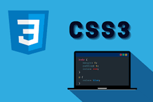 lenguaje web estilos css3
